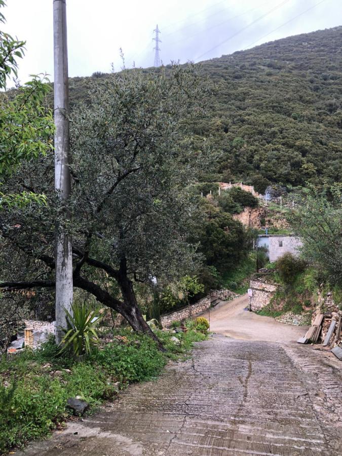 מלון Lukovë Lida'S House מראה חיצוני תמונה